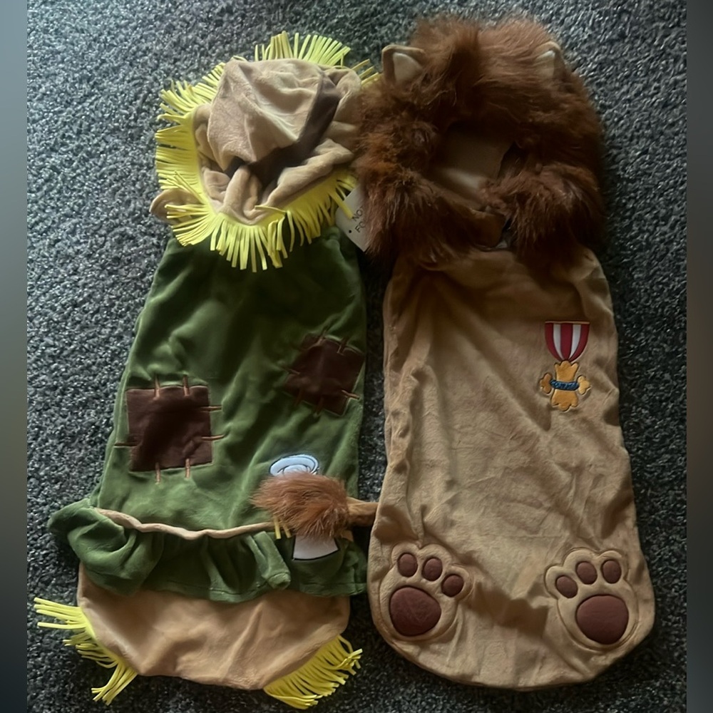 Bundle of Wizard of oz baby costumes